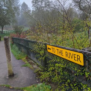 Cairngorms Living Walks Website Subscription